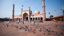 Private Old and New Delhi City Best of Tour in 7 Hours