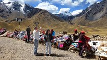 One-Way Scenic Touristic Bus to Puno from Cusco with Lunch