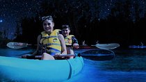 Bioluminescence Night Kayaking Tour of Merritt Island Wildlife Refuge