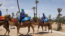Camel Ride Marrakech