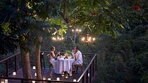 Forest Dining at Tree Deck overlooking lush valley of Ubud