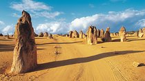 Pinnacles Desert, Koalas and Sandboarding 4WD Day Tour from Perth