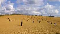 Explore Tottori Sand Dunes, Sand Museum & Uradome Coast Cruise! 