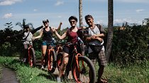 Private Fat Tire E-Bike Tour in Ubud
