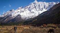 20 days Manaslu Rupina La Pass Homestay Trek