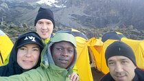 7 Days 6 Night Machame Climbing Route
