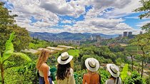 Coffee & Horses Private Tour in Medellin: A Fun & Authentic Day