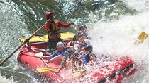 Victoria Falls: Whitewater Rafting + Chobe Safari Combo