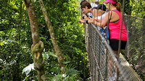 Arenal volcano, hanging bridges and sloth encounter tour.