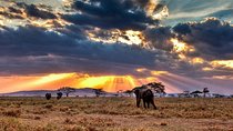 6 Days / 5 Nights Join group safari