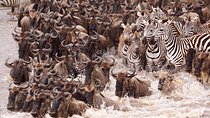 11 Days / 10 Nights Join group safari