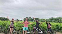 BIKING TOUR around Hanoi City Center and Country Side with Local Tour Guide 