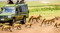 3 Days Tanzania Safari - Manyara, Ngorongoro & Tarangire