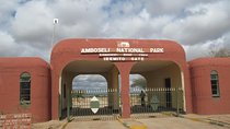 Amboseli national park private Day tour from Nairobi