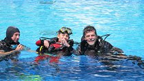 Discover Scuba Diving or Try dive