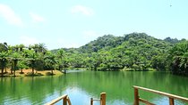 Magoroto Forest Reserve(3 Days)