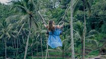 Ubud Swing with Private Photographer