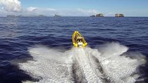 2 hour Round Trip in Vestmannaeyjar on a RIB Boat