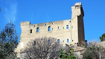 Avignon's history, local culture & the wines of Châteauneuf du Pape private tour