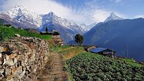 9 days Kids Friendly Lower Annapurna Royal Trek