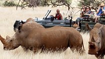 Maasai Mara road Safari 2 Nights 3 Days Group joining