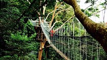 Forest Research Institute Malaysia (FRIM) Nature Trekking from Kuala Lumpur
