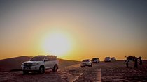 Dubai Evening Desert Safari on Private Basis
