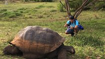 4-Day Galapagos Island Hopping Tour in Santa Cruz