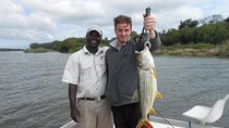 Zambezi Fishing Safari