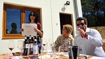 Ribera del Duero Wineries Guided Tour & Wine Tasting from Madrid