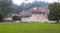 Kandy Day Tour From Colombo