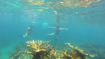 Snorkeling on The Caribbean side of Panama
