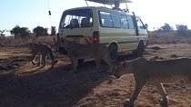 Tour Nairobi National Park