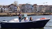 Porto: Private tour in the Douro (1 to 4 people) on a boat just for you