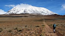 5 Days Mount Kilimanjaro Marangu Route