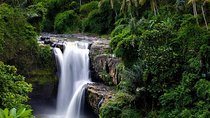 Ubud Waterfall Tour