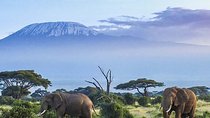 7 Days Mount Kilimanjaro Machame Route Climb.