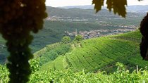 Amarone-Soave Wine Tour. Visit Verona. From Venice
