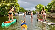 SUP PUP Paddleboard Tour