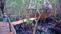 Jozani Forest Tour