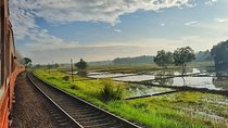 Train from Colombo/ Airport to Habarana/Sigiriya