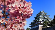 Nagoya Highlights & Hidden Gems: Private Tour with a Local