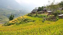 Sapa Trek Experience 2 Days at Homestay