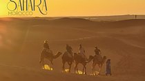 8 Day Trip to Sahara Desert and 4 Imperial Cities