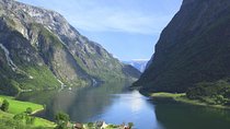 Private guided tour to Oslo - Nærøyfjord Cruise & Flåm Railway
