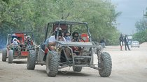 Dune Buggy / ATV / Safari / Cave / Beach / Adventure 