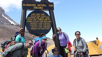 Kilimanjaro Lemosho Route 7 Days