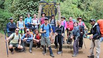 Kilimanjaro Lemosho Route 8 Days
