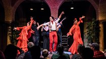 Seville: Puro Flamenco Show - Museo del Baile Flamenco
