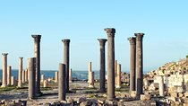 Full Day Tour : Jerash, Ajloun, Umm Qais